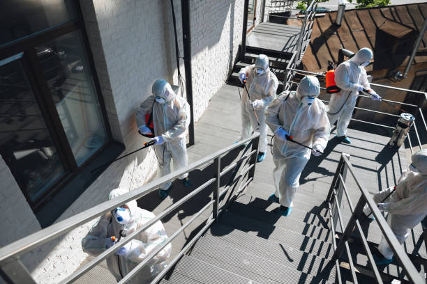 Best Attic Mold Removal  in Mastic Beach, NY
