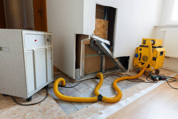 Best Mold Removal for HVAC Installations  in Mastic Beach, NY