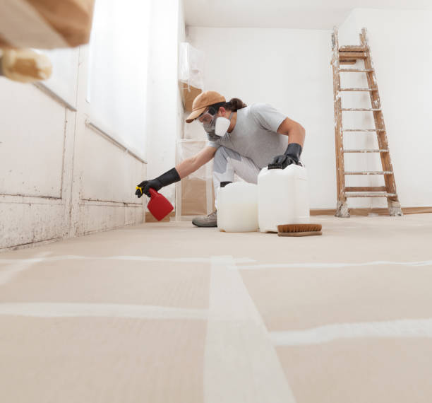 Best Dehumidification Services  in Mastic Beach, NY